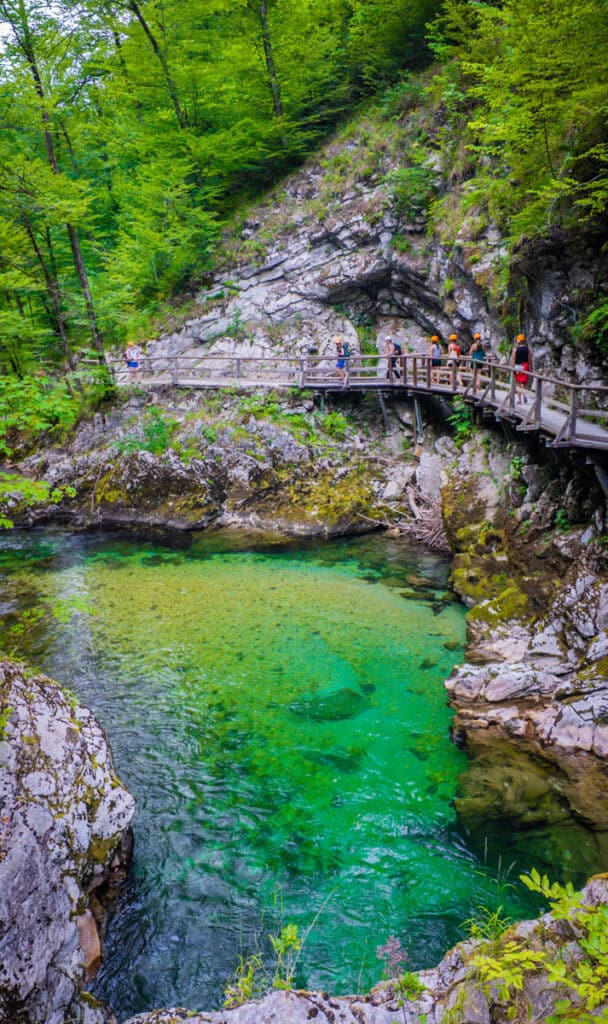 boardwalk through vintgar gorge