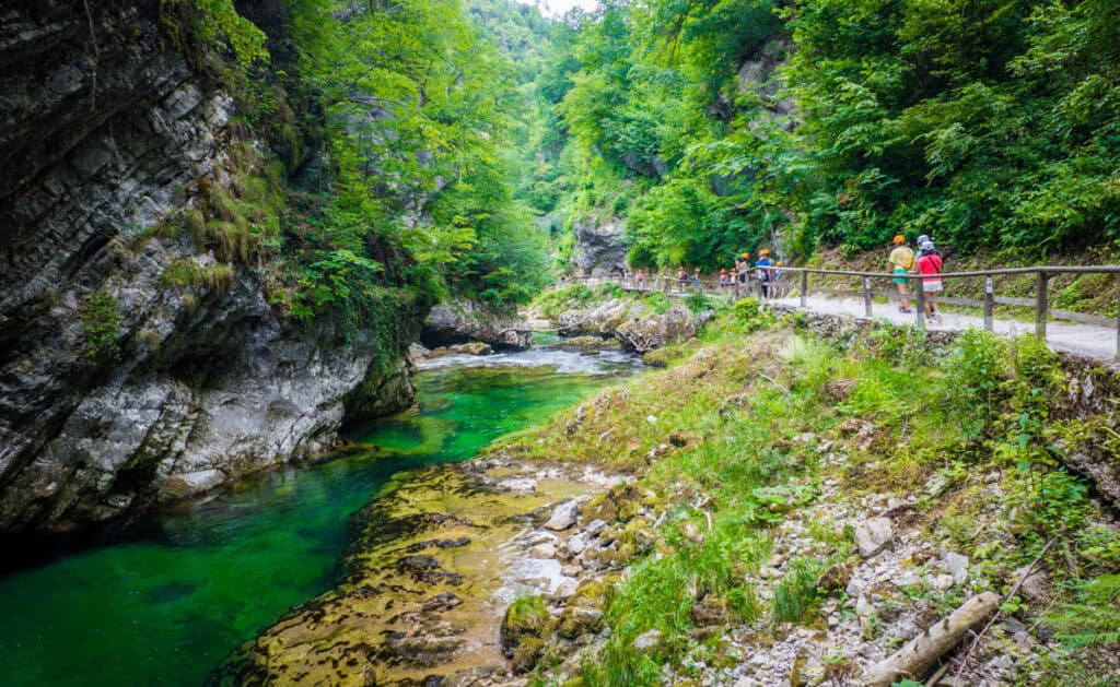 boardwalk on vintgar gorge