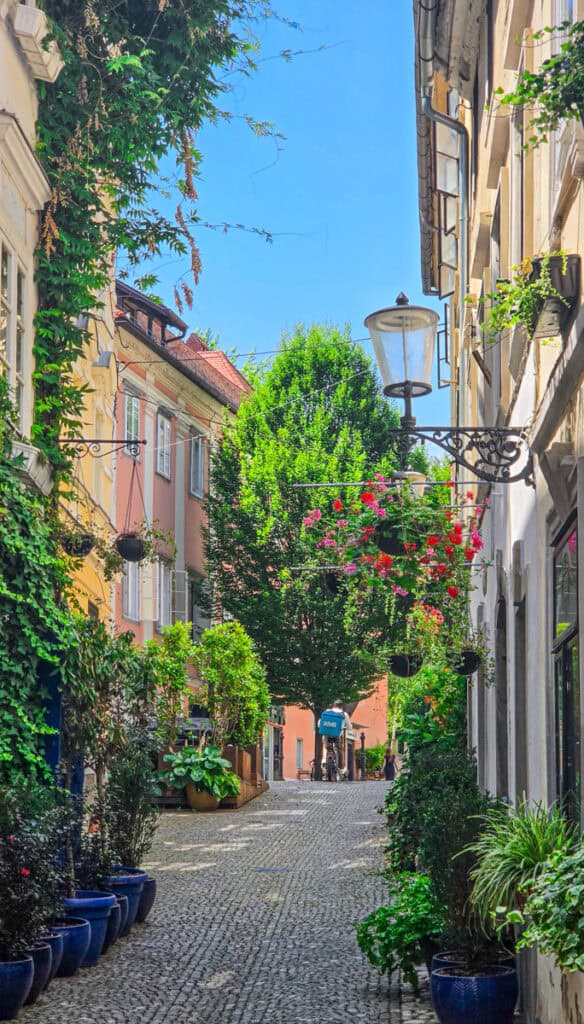 alley way with lots of green foliage in ljublijana