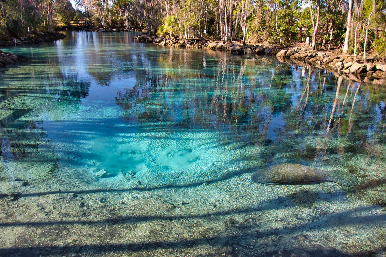 weekend in Orlando - Wekiwa Springs State Park