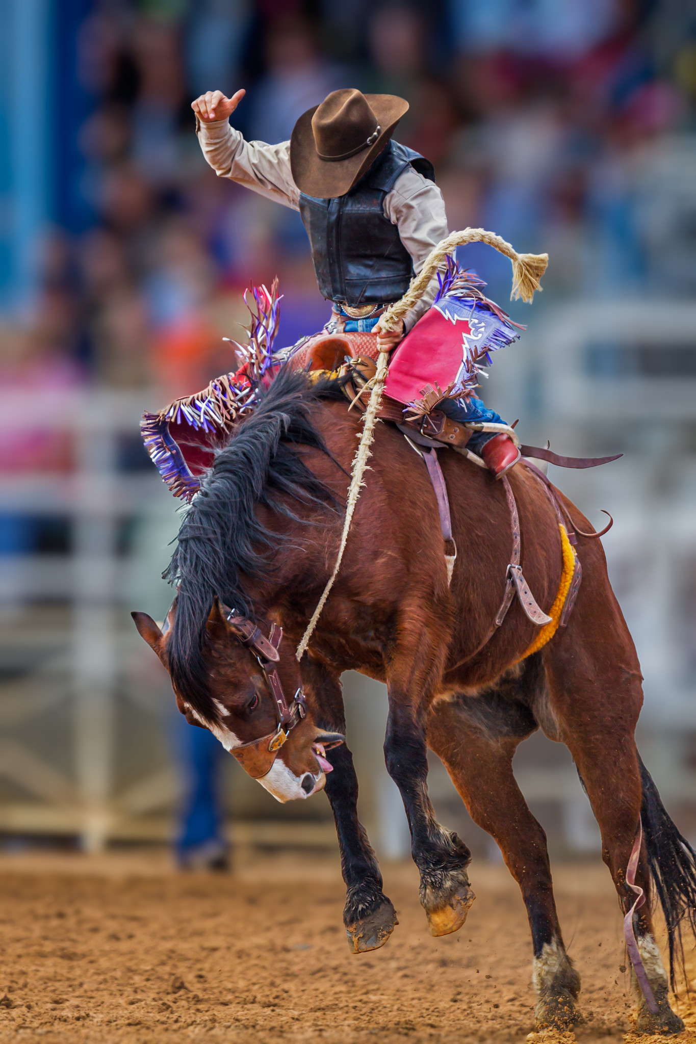 What to do with 2 days in Orlando - Real Florida Rodeo