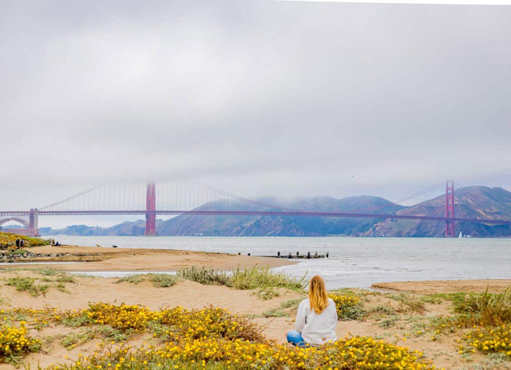 woman sitting on beach amongst yellow wildflowers looking at golden gate bridge