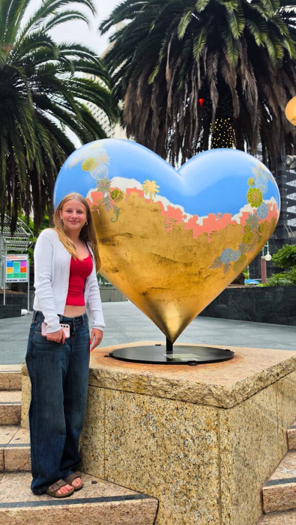 girl net to san francisco heart