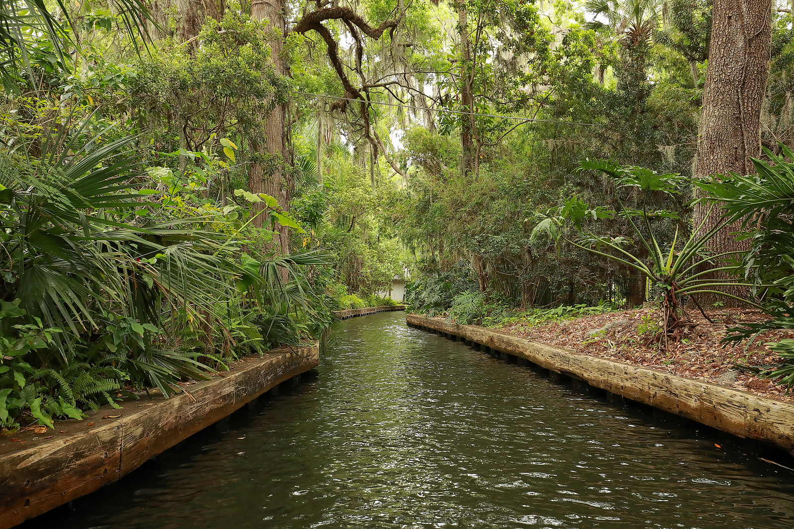 weekend in Orlando - Orlando Itinerary Day 2