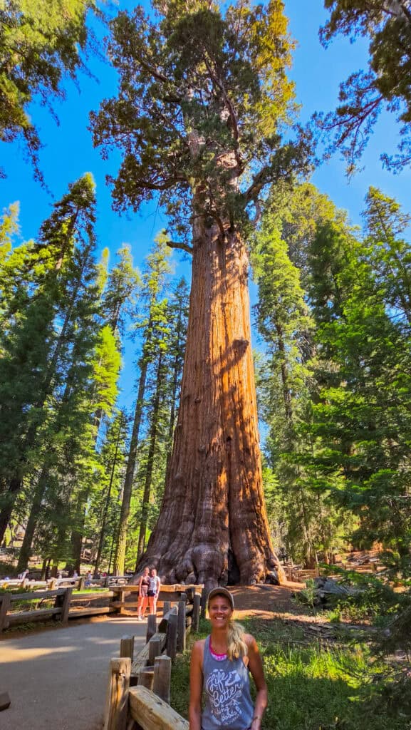 general sherman tree