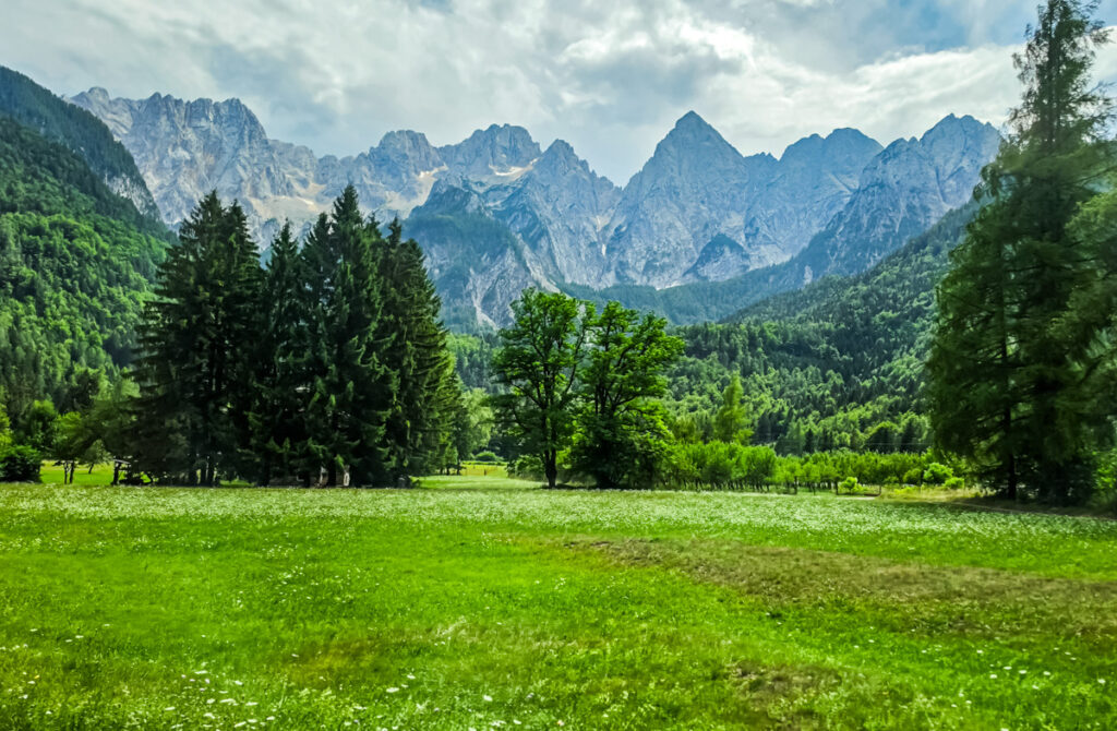 julian alps in background of meadow