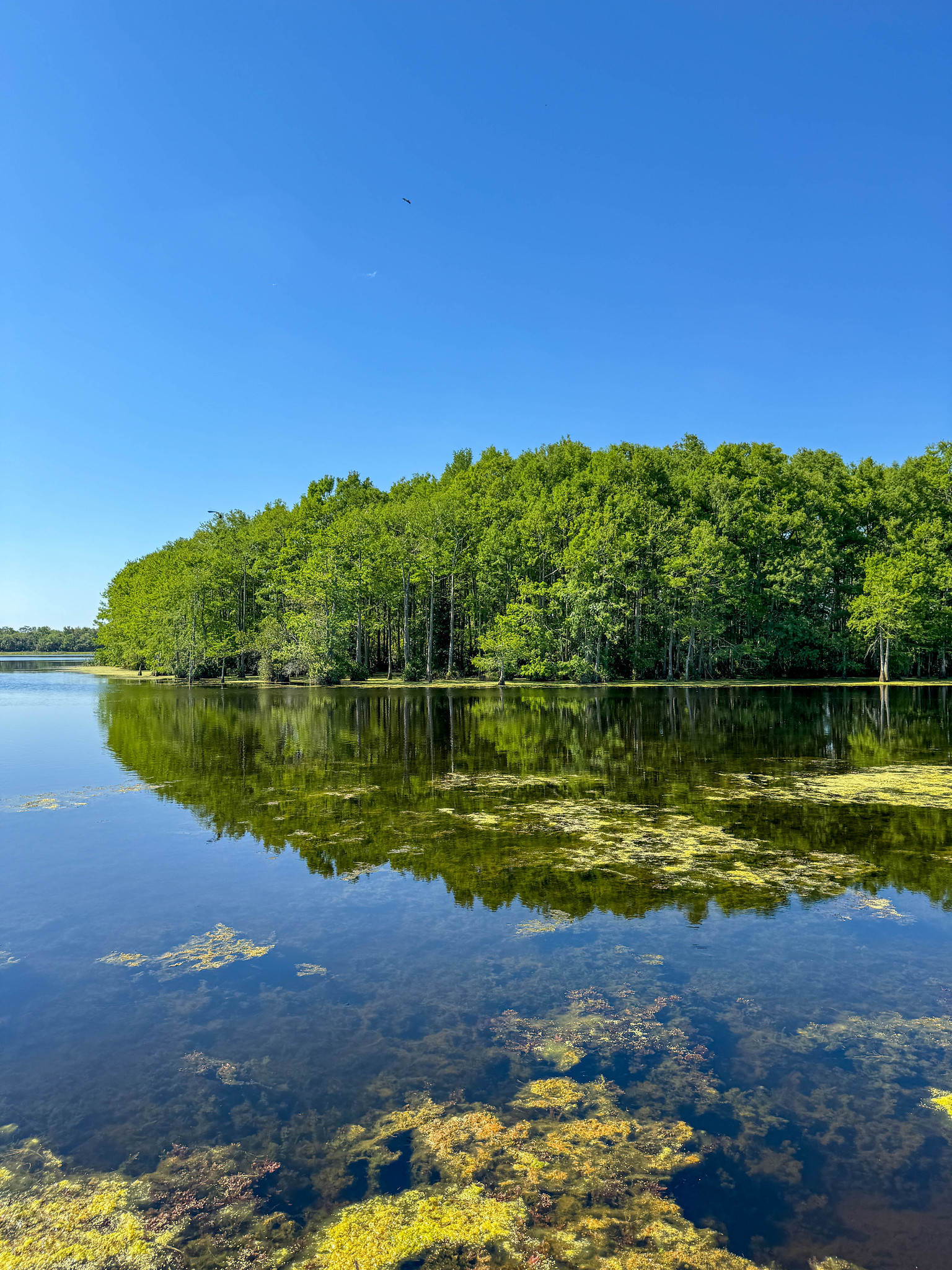 orlando itinerary - Orlando Wetlands Park
