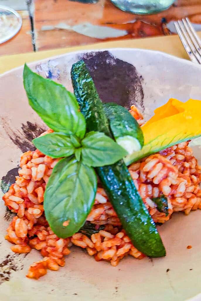 rice with tomato sauce and basil
