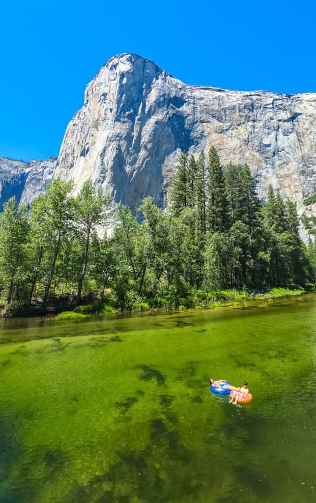 tubers in merced river in front of el capitan yosemite