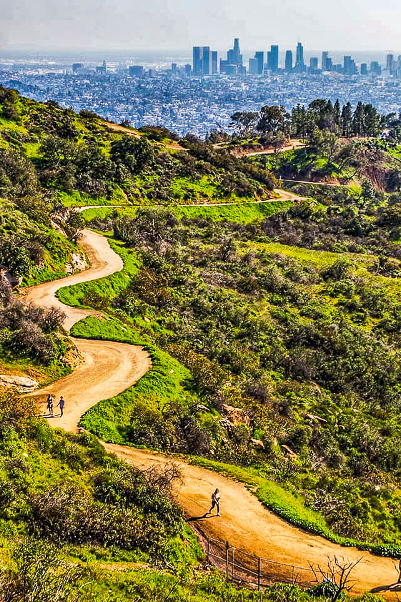 hiking trail Griffith park with views of la skyline